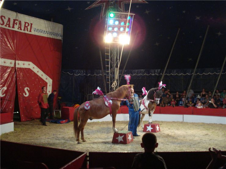 Picture Of Circus Horse Act At Cakovac Circus